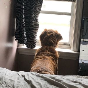 Meet your Posher, Cara